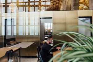 plant-home-workspace-office-office-space-interior-design-46936-pxhere-com.jpg